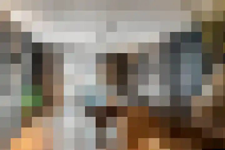 de Steenenpaal 7 Tiel thumbnail 32
