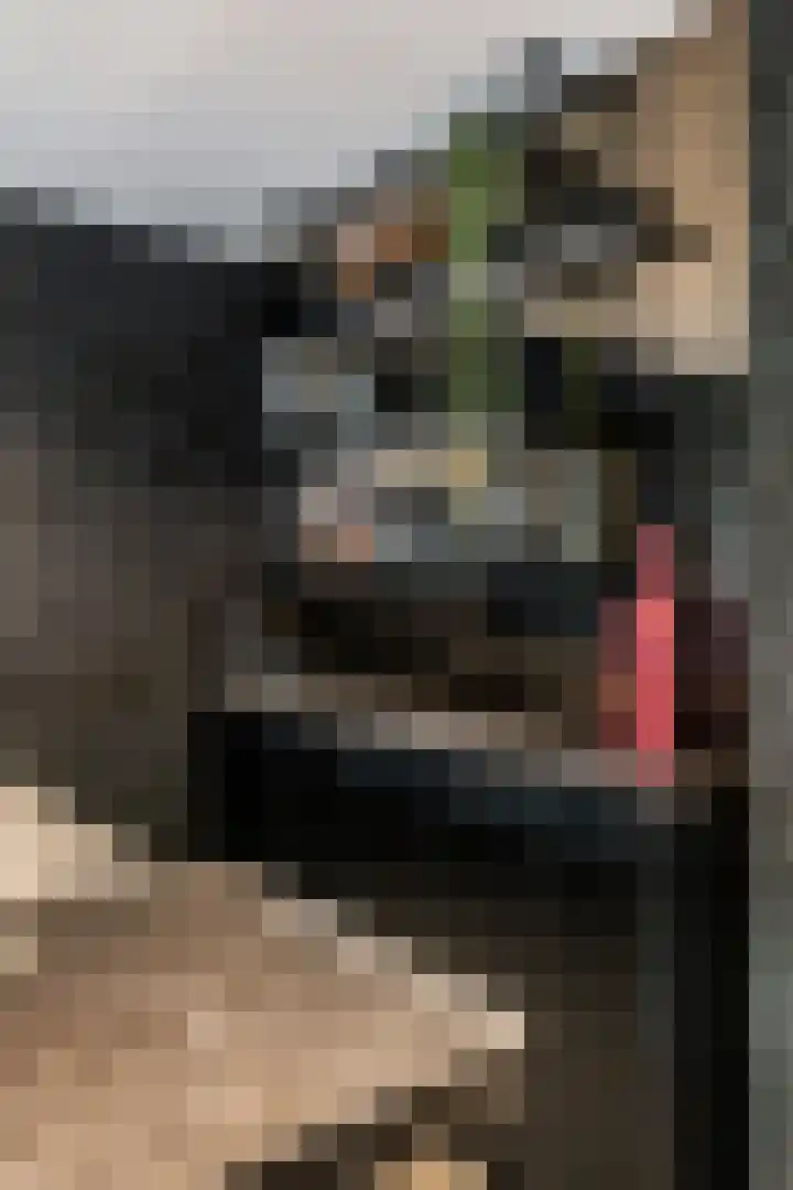 de Steenenpaal 7 Tiel thumbnail 36