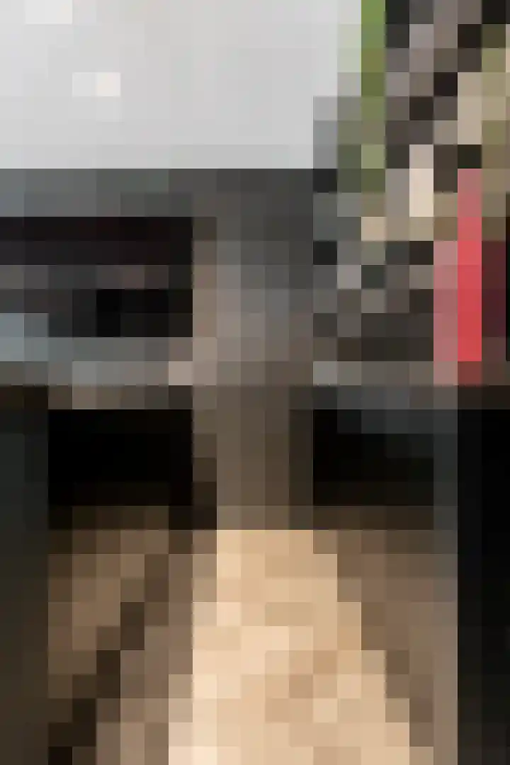 de Steenenpaal 7 Tiel thumbnail 37