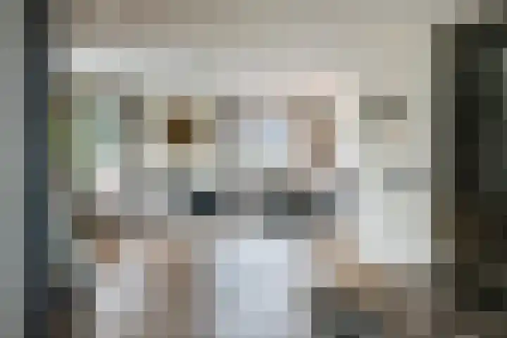 de Steenenpaal 7 Tiel thumbnail 43