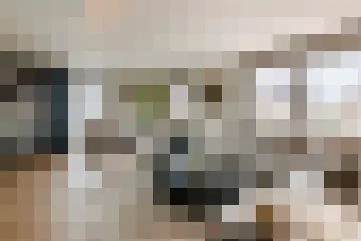 de Steenenpaal 7 Tiel thumbnail 46