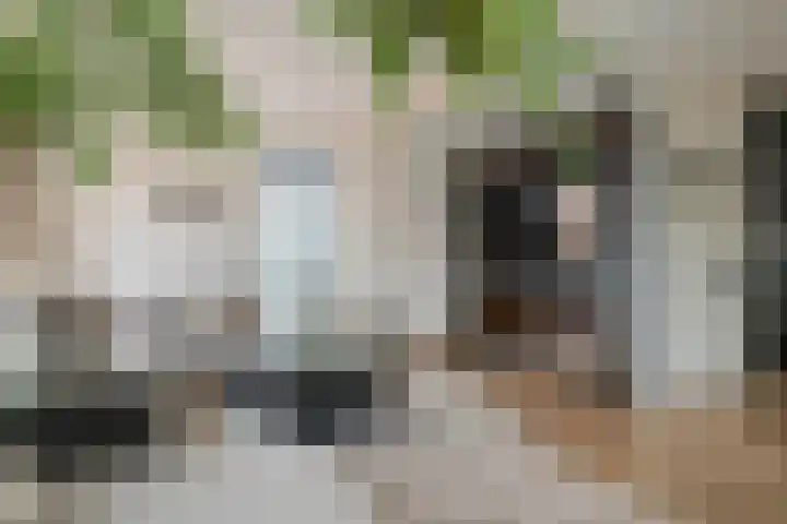 de Steenenpaal 7 Tiel thumbnail 47