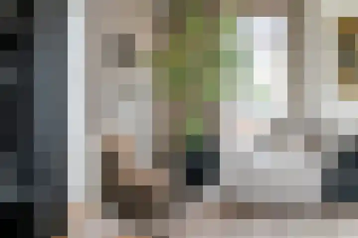 de Steenenpaal 7 Tiel thumbnail 49
