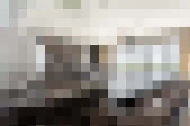 de Steenenpaal 7 Tiel thumbnail 56