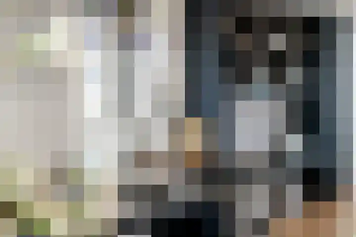 de Steenenpaal 7 Tiel thumbnail 59