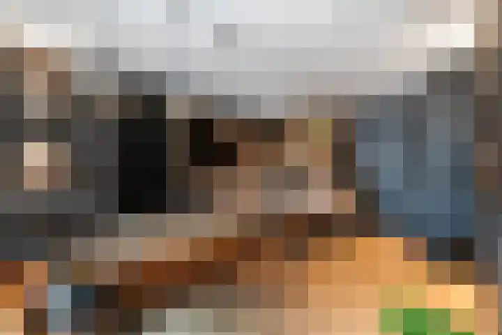 de Steenenpaal 7 Tiel thumbnail 6