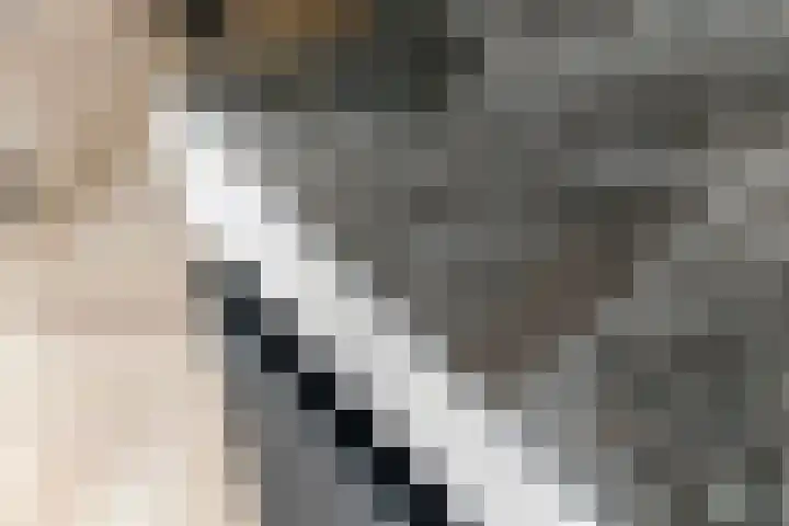 de Steenenpaal 7 Tiel thumbnail 60