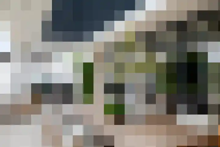 de Steenenpaal 7 Tiel thumbnail 64