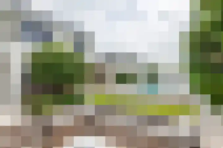 de Steenenpaal 7 Tiel thumbnail 65