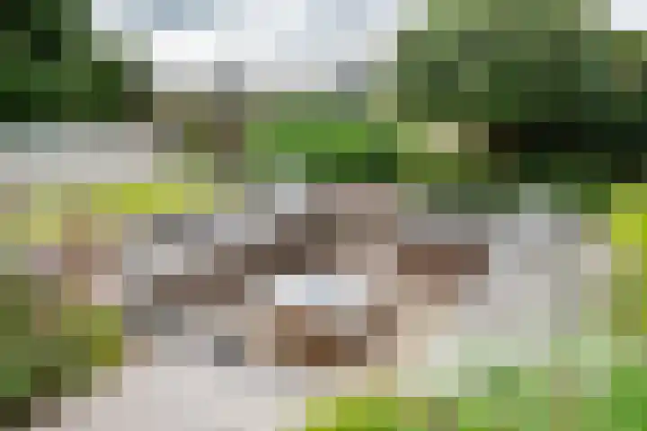 de Steenenpaal 7 Tiel thumbnail 67