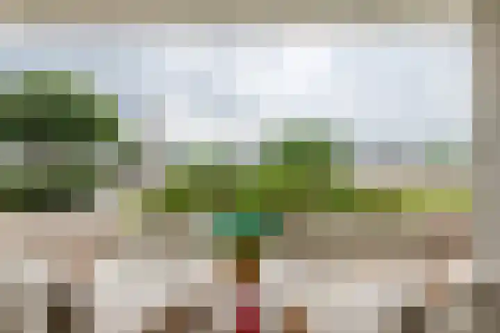 de Steenenpaal 7 Tiel thumbnail 70