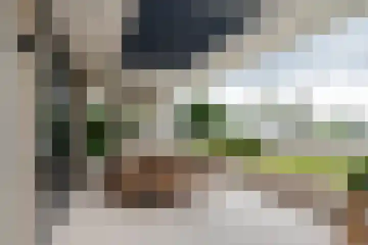 de Steenenpaal 7 Tiel thumbnail 72