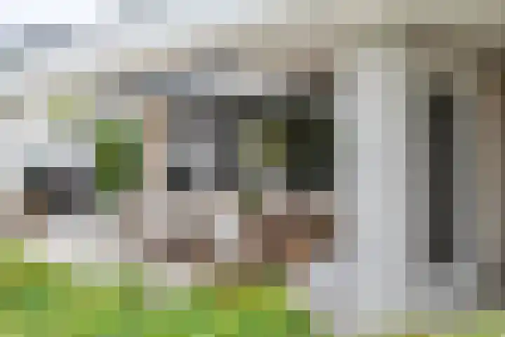 de Steenenpaal 7 Tiel thumbnail 73