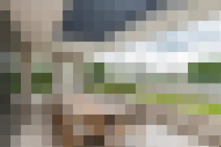 de Steenenpaal 7 Tiel thumbnail 74