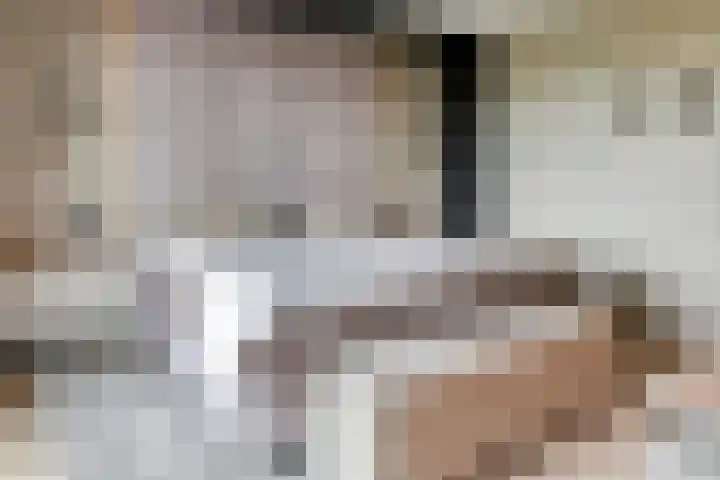de Steenenpaal 7 Tiel thumbnail 77