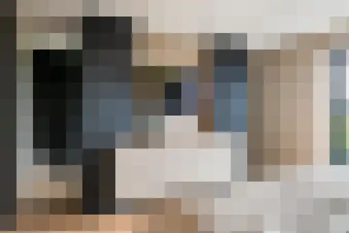 de Steenenpaal 7 Tiel thumbnail 78