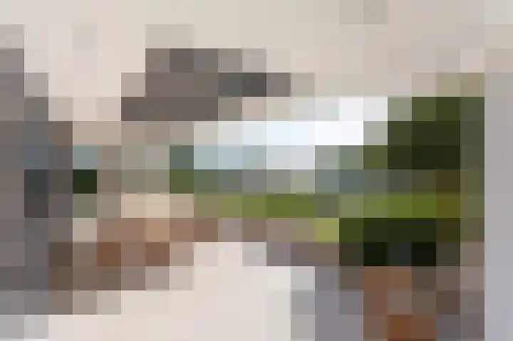 de Steenenpaal 7 Tiel thumbnail 8