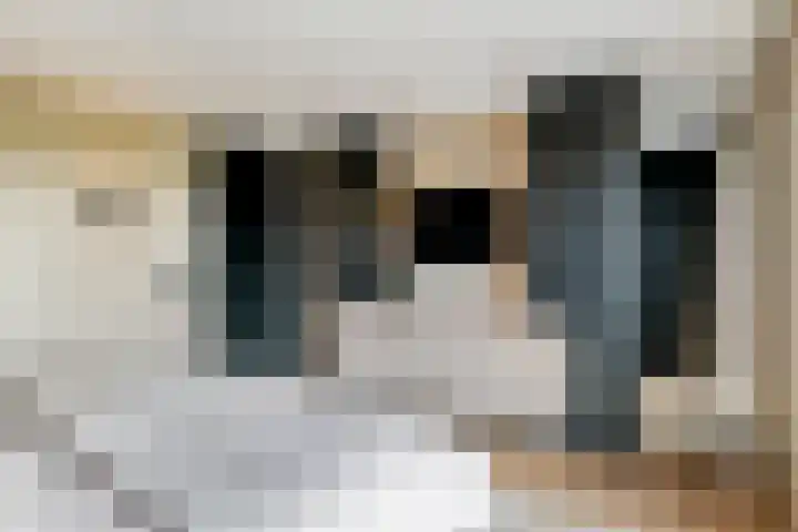 de Steenenpaal 7 Tiel thumbnail 85