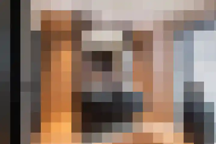 de Steenenpaal 7 Tiel thumbnail 86