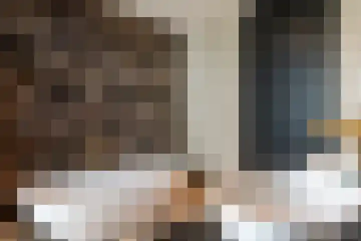 de Steenenpaal 7 Tiel thumbnail 88