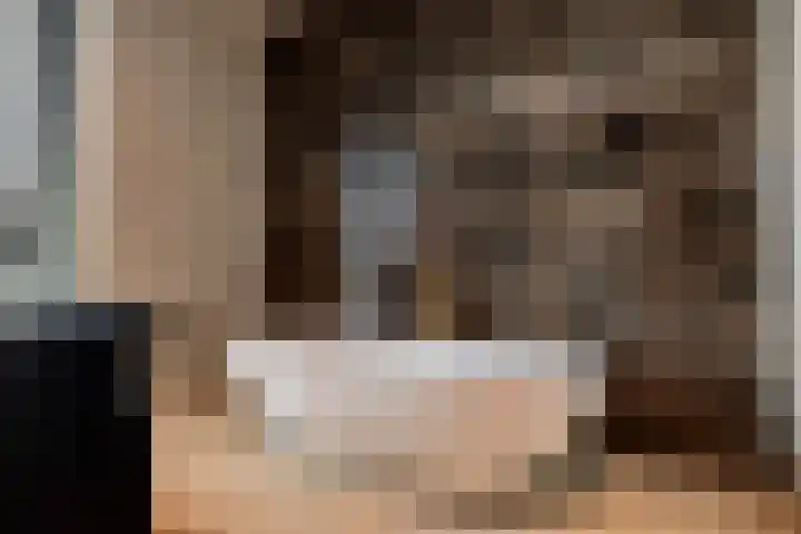 de Steenenpaal 7 Tiel thumbnail 89