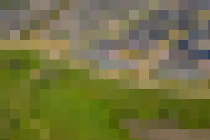 de Steenenpaal 7 Tiel thumbnail 99