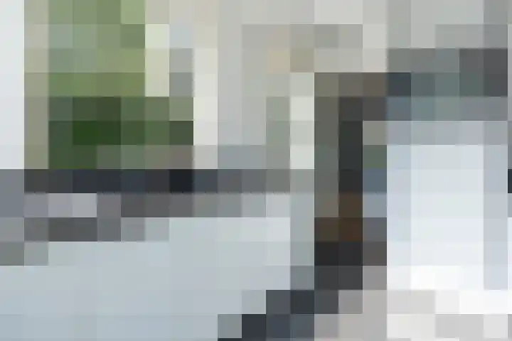 De Steenkamp 111 Voorthuizen thumbnail 10