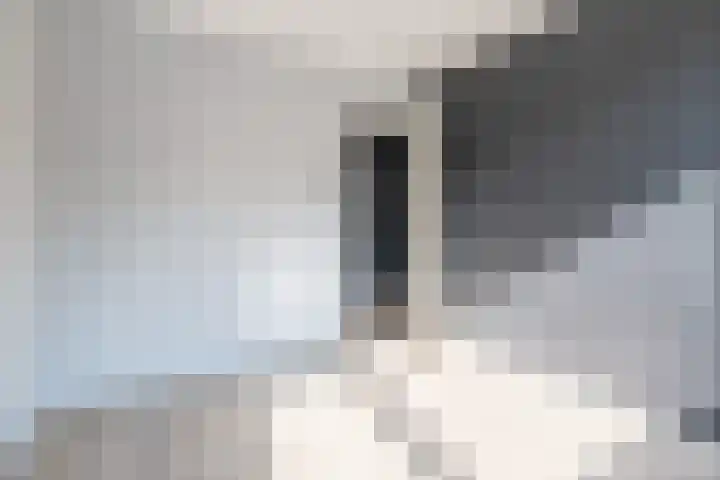 De Steenkamp 111 Voorthuizen thumbnail 19