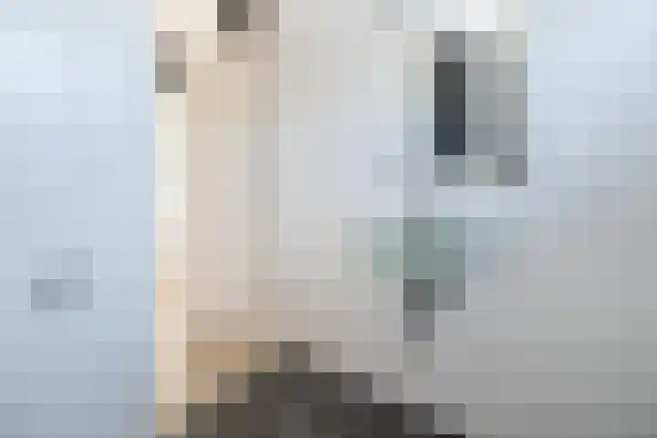 De Steenkamp 111 Voorthuizen thumbnail 23