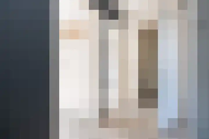 De Steenkamp 111 Voorthuizen thumbnail 24