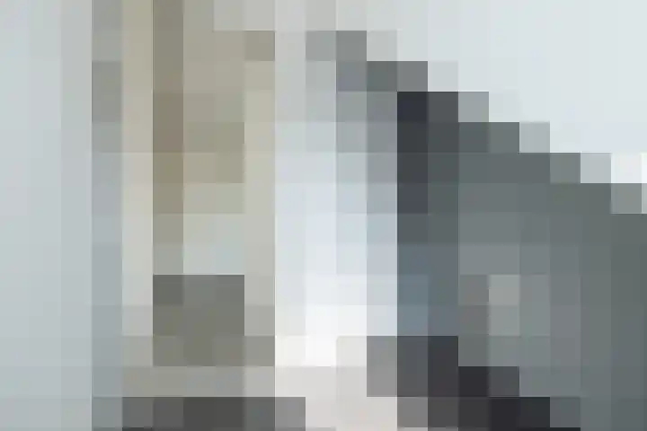 De Steenkamp 111 Voorthuizen thumbnail 30