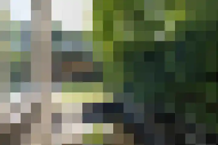 De Steenkamp 111 Voorthuizen thumbnail 32