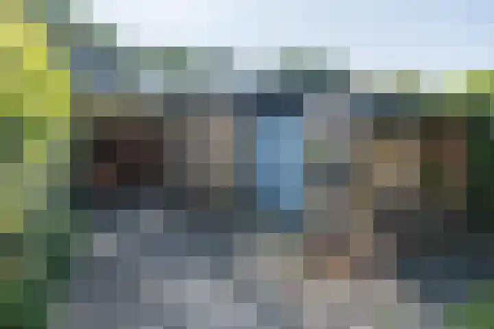 De Steenkamp 111 Voorthuizen thumbnail 36