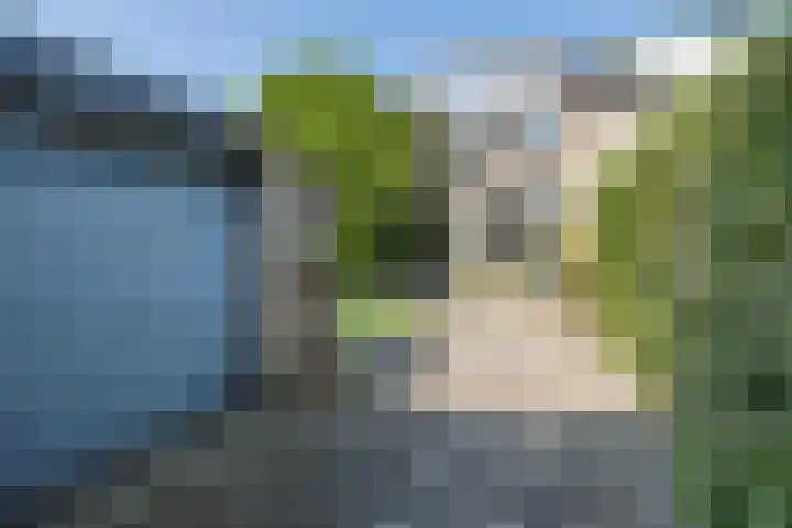 De Steenkamp 111 Voorthuizen thumbnail 37