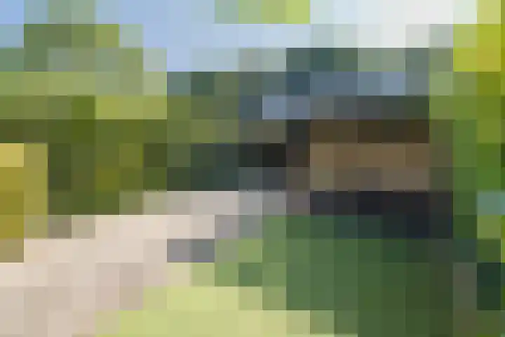 De Steenkamp 111 Voorthuizen thumbnail 38
