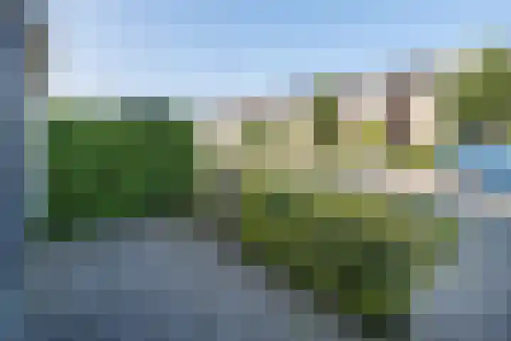 De Steenkamp 111 Voorthuizen thumbnail 40