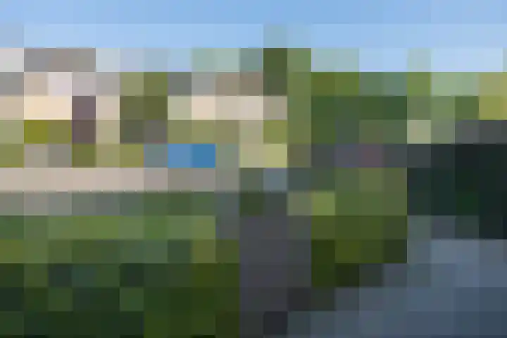 De Steenkamp 111 Voorthuizen thumbnail 42