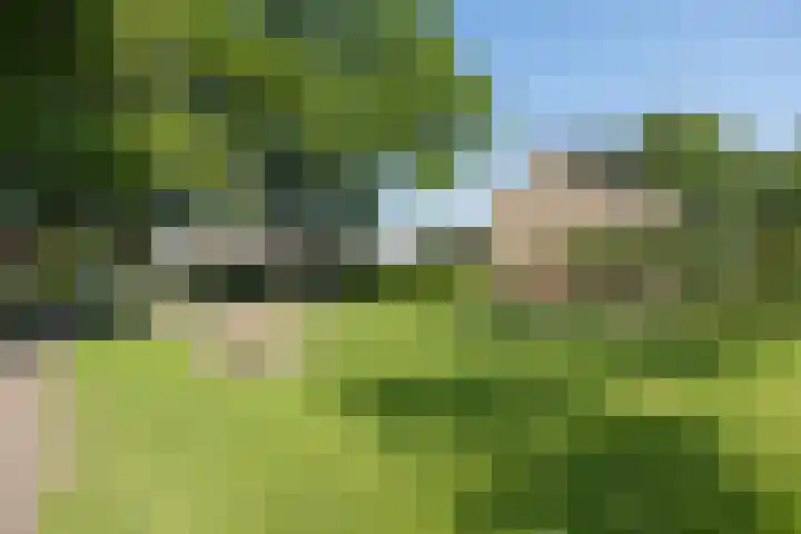 De Steenkamp 111 Voorthuizen thumbnail 47