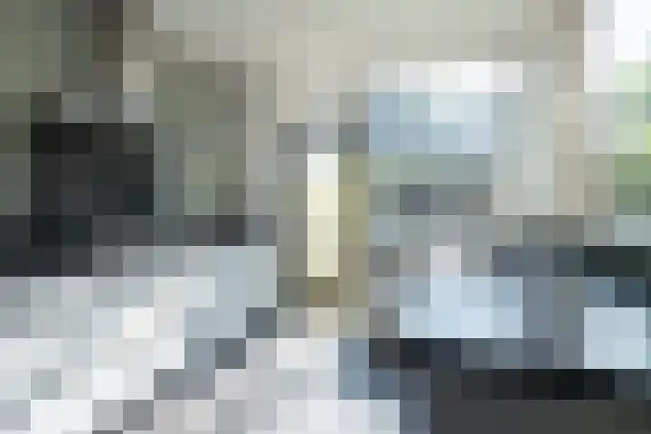 De Steenkamp 111 Voorthuizen thumbnail 8