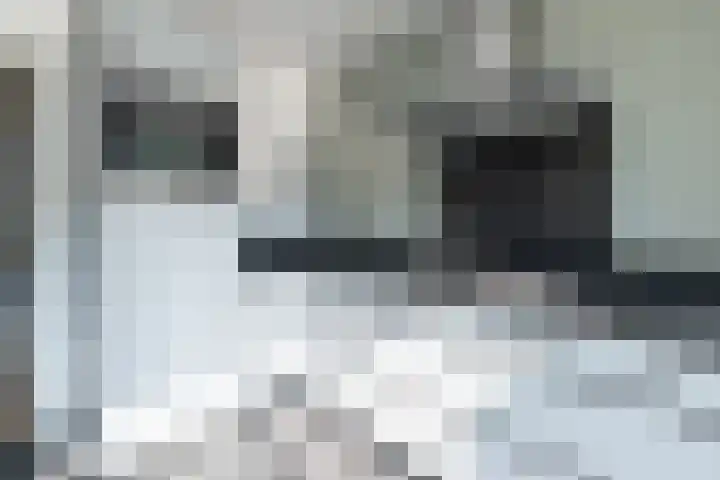 De Steenkamp 111 Voorthuizen thumbnail 9