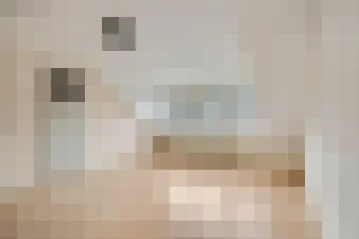 De Steenkamp 114 Voorthuizen thumbnail 29