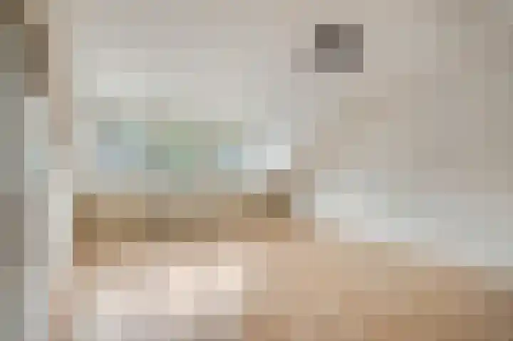 De Steenkamp 114 Voorthuizen thumbnail 30