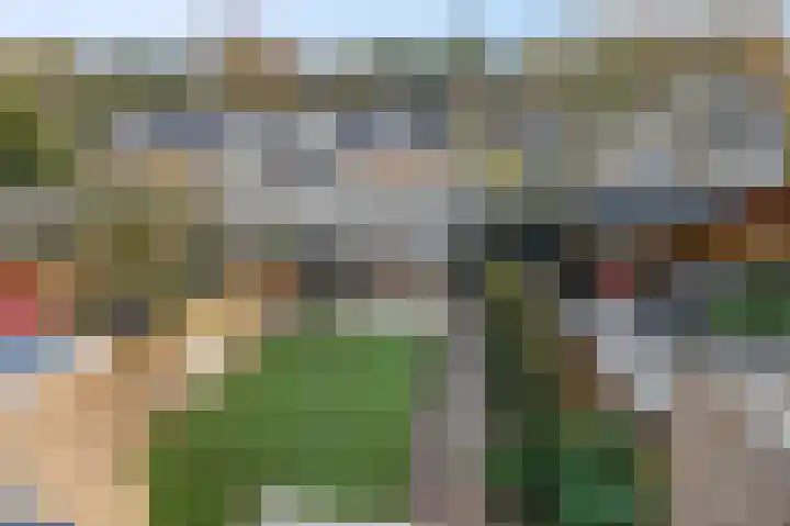 De Steenkamp 114 Voorthuizen thumbnail 32