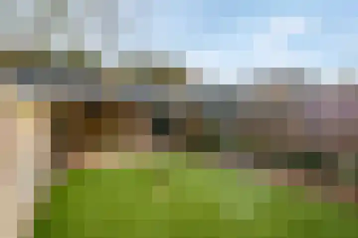 De Steenkamp 114 Voorthuizen thumbnail 33