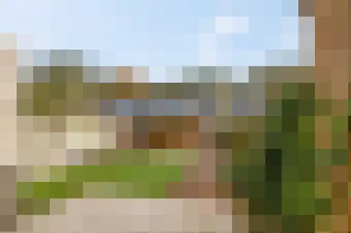 De Steenkamp 114 Voorthuizen thumbnail 34