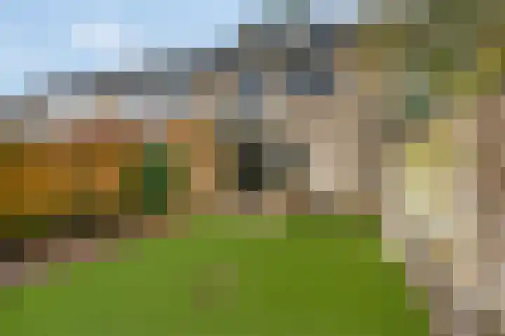 De Steenkamp 114 Voorthuizen thumbnail 35