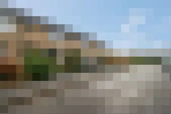De Steenkamp 114 Voorthuizen thumbnail 36