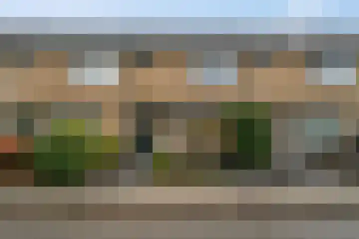 De Steenkamp 114 Voorthuizen thumbnail 37