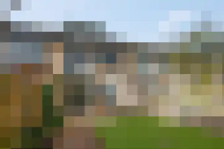 De Steenkamp 114 Voorthuizen thumbnail 4