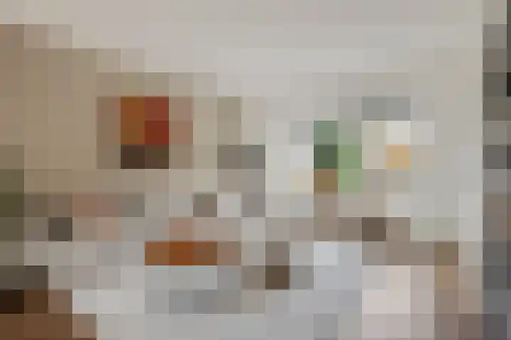 De Steenkamp 114 Voorthuizen thumbnail 6